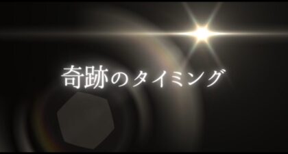 奇跡のタイミング：新築美装でのエピソード