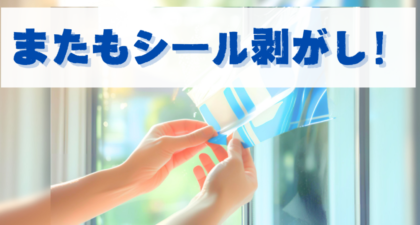 またもシール剥がし！